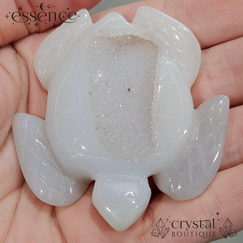 Natural Druzy Agate Turtle
