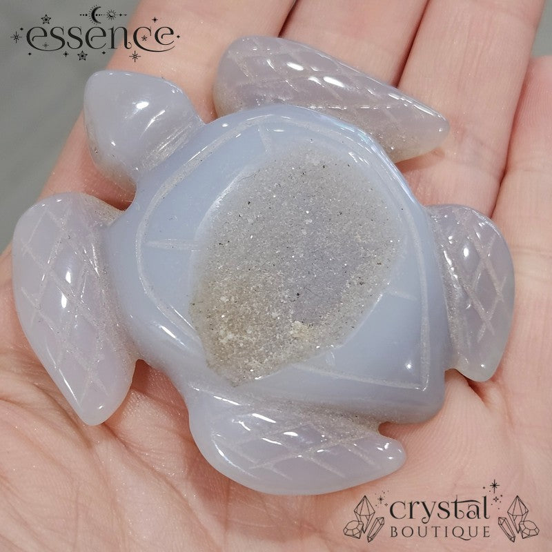 Natural Druzy Agate Turtle