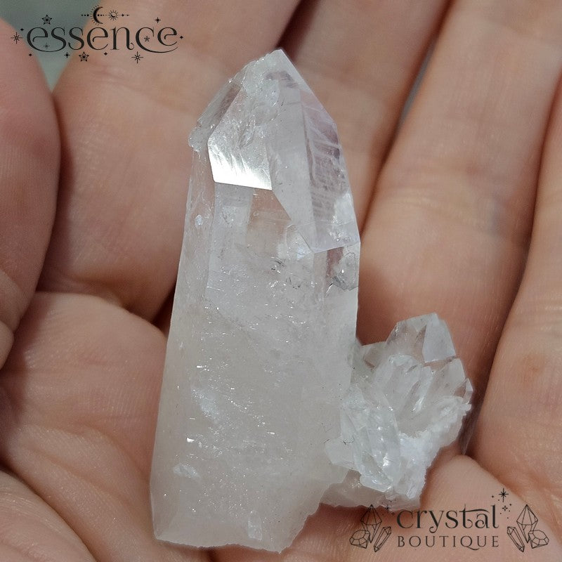 Lemurian Quartz Cluster