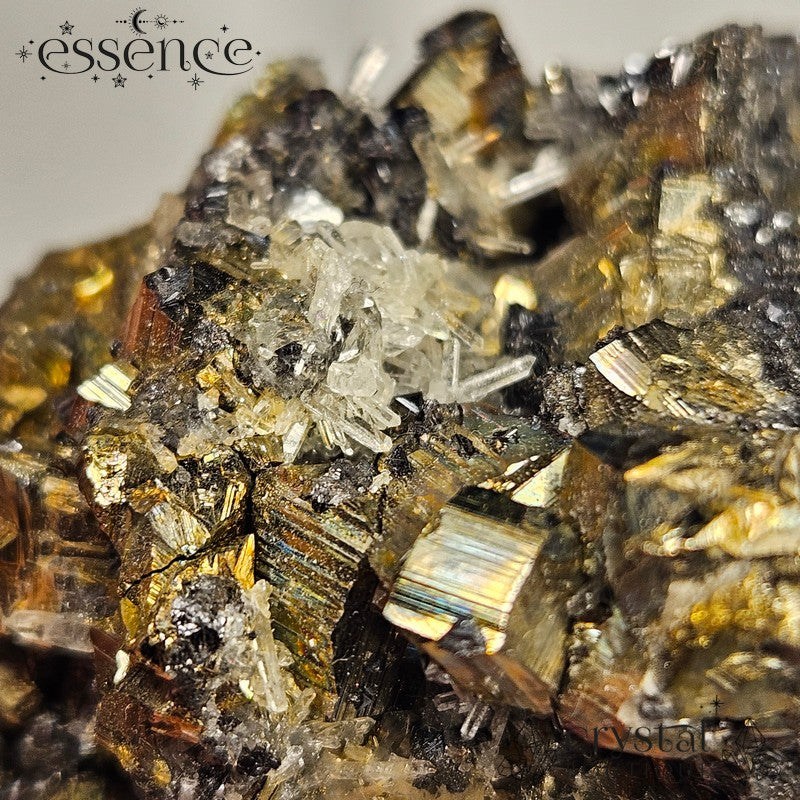 Bulgarian Crystal Specimen with Pyrite, Quartz and Galena - 168gm