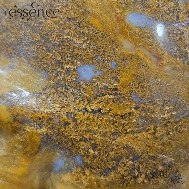 Ocean jasper/ Moss agate skull (Golden Grove)