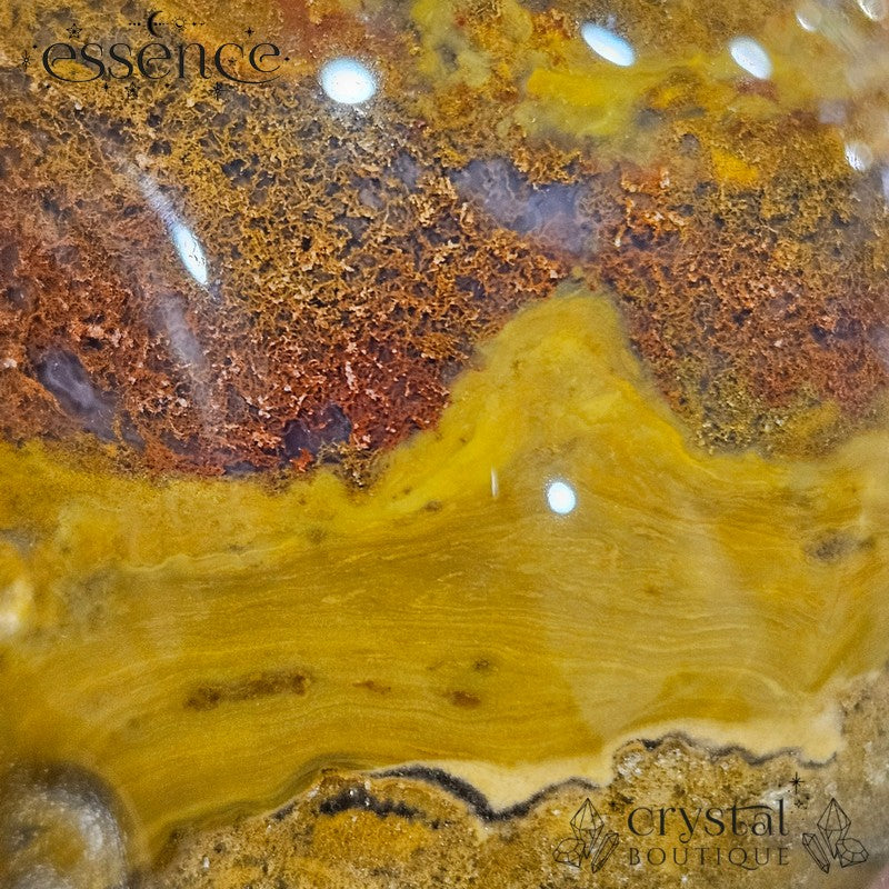 Ocean Jasper and Moss Agate Skull (Redmoss)