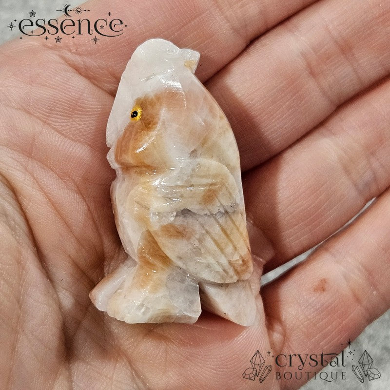 Pink Calcite Owl ā A Unique Guardian of Wisdom & Healing