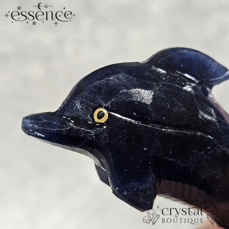 Sodalite Dolphin β A Wave of Calm & Intuition