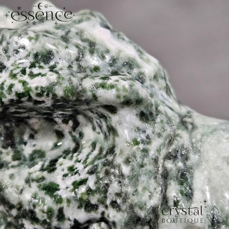 Tree Agate Dragon Head β The Guardian of Stability & Growth
