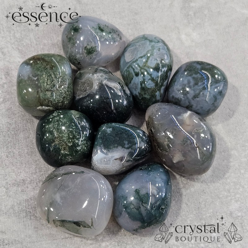 Moss Agate Tumbled Stone