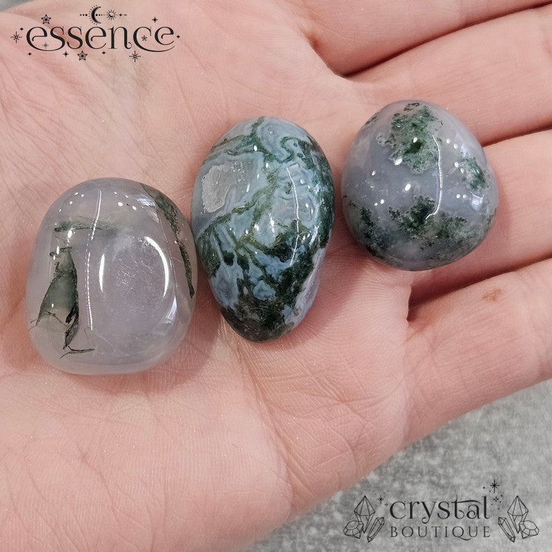 Moss Agate Tumbled Stone