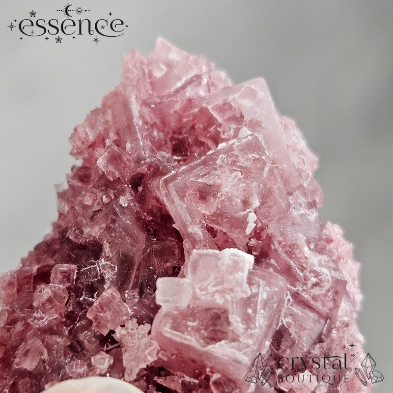 Pink Halite from California 17g