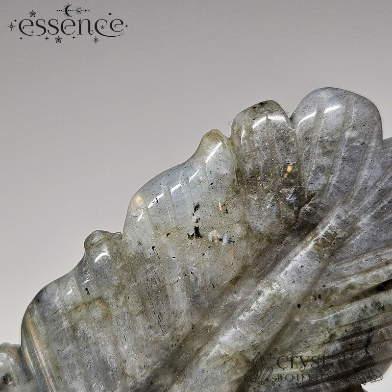 Labradorite Feather Carving 🪶