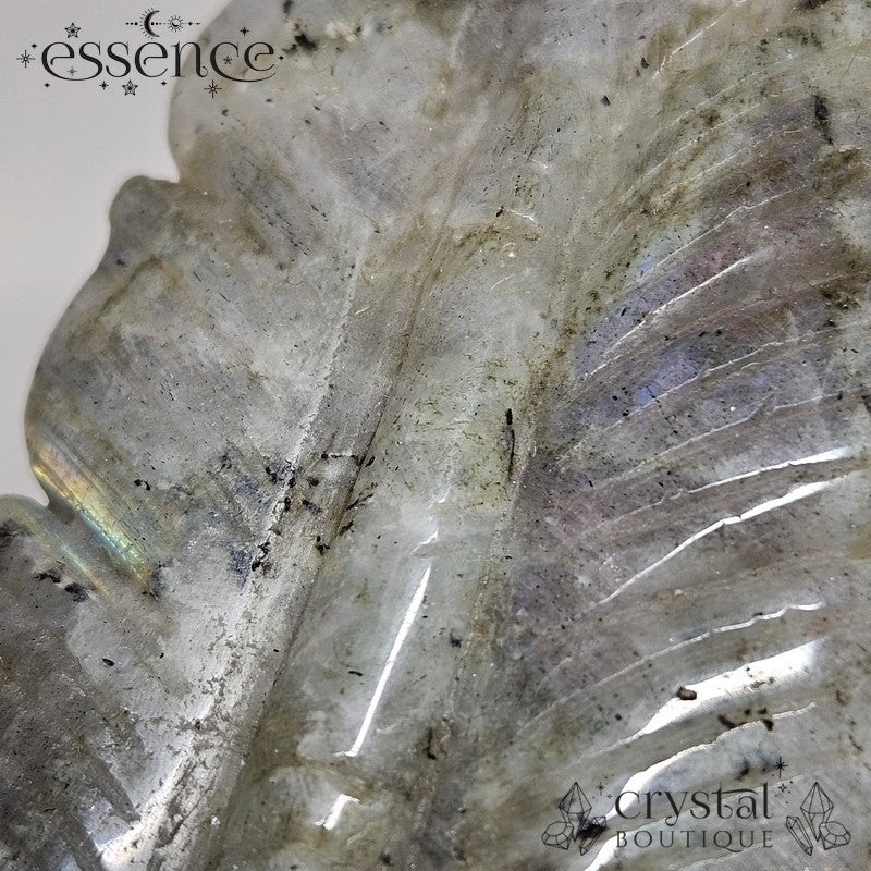 Labradorite Feather Carving 🪶