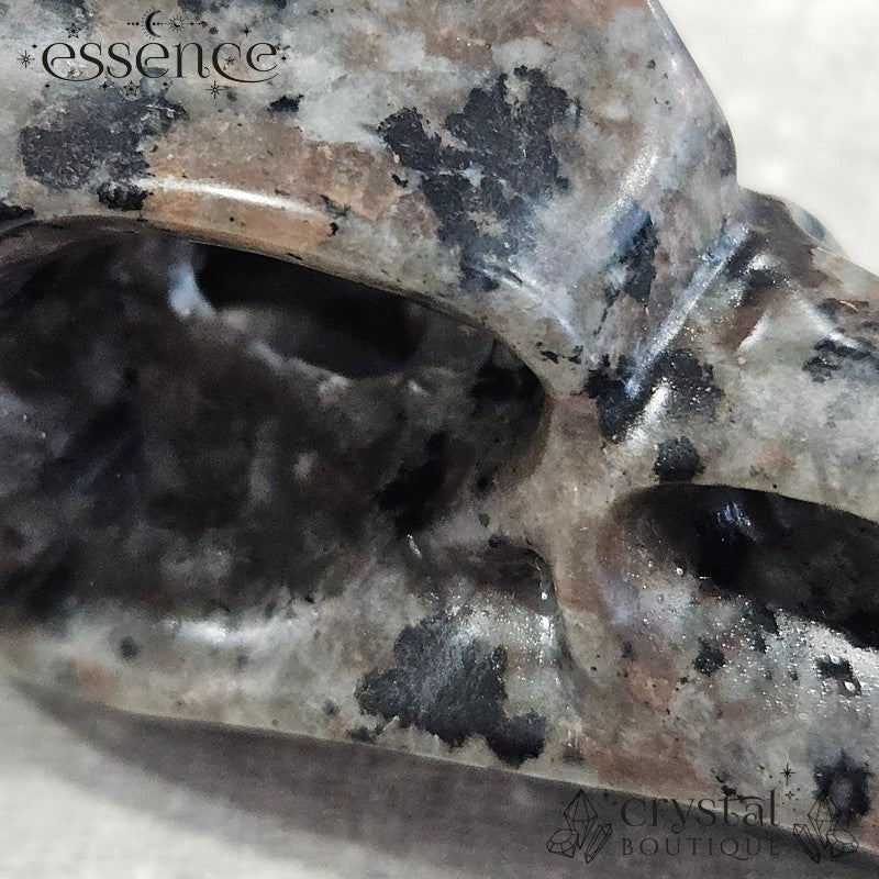 Yooperlite Raven Skull