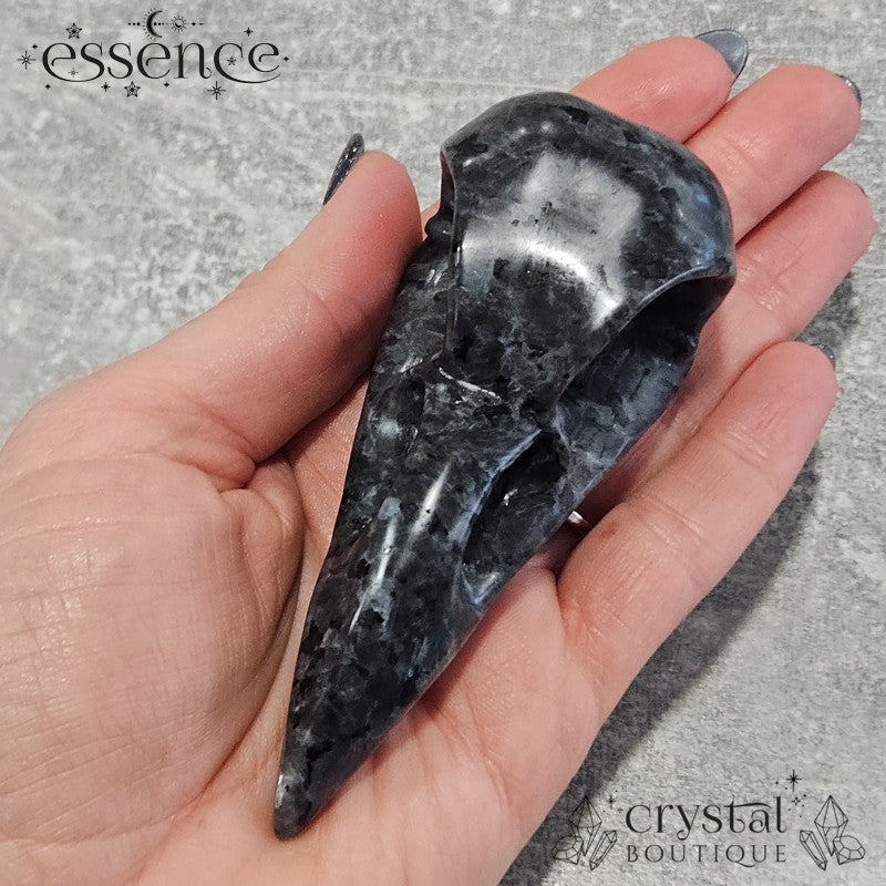 Larvikite Raven Skull