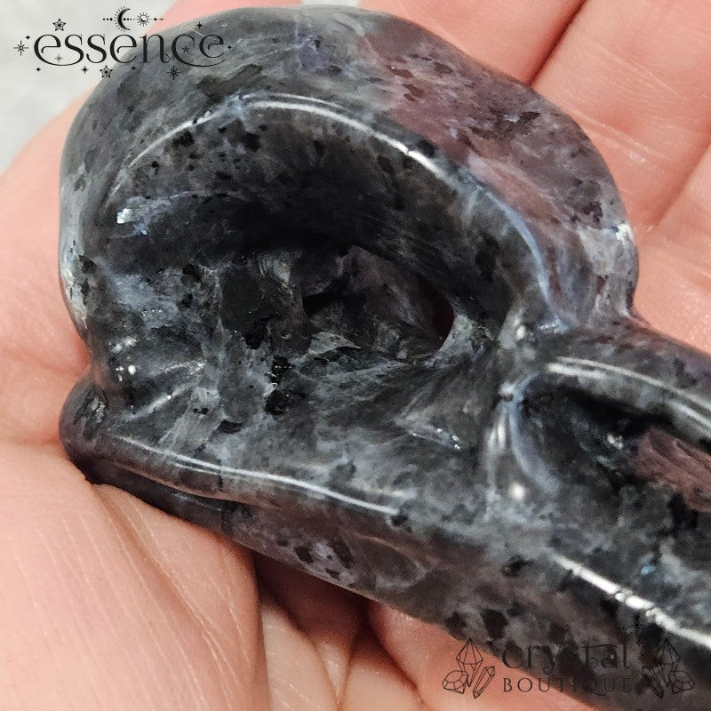Larvikite Raven Skull