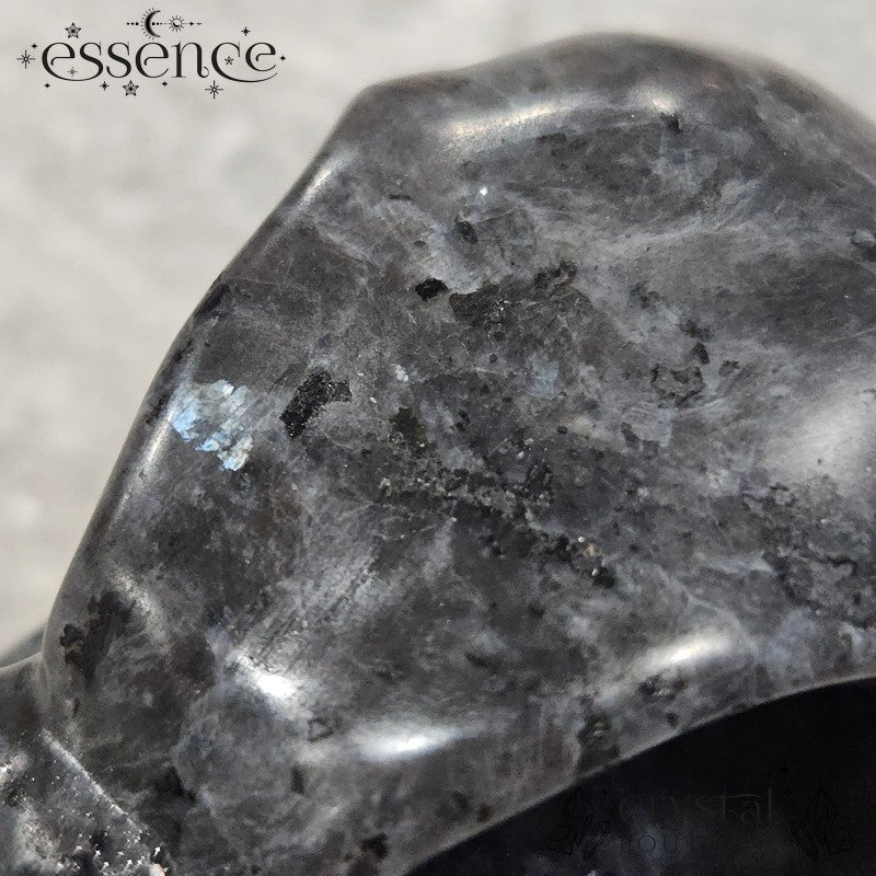 Larvikite Raven Skull