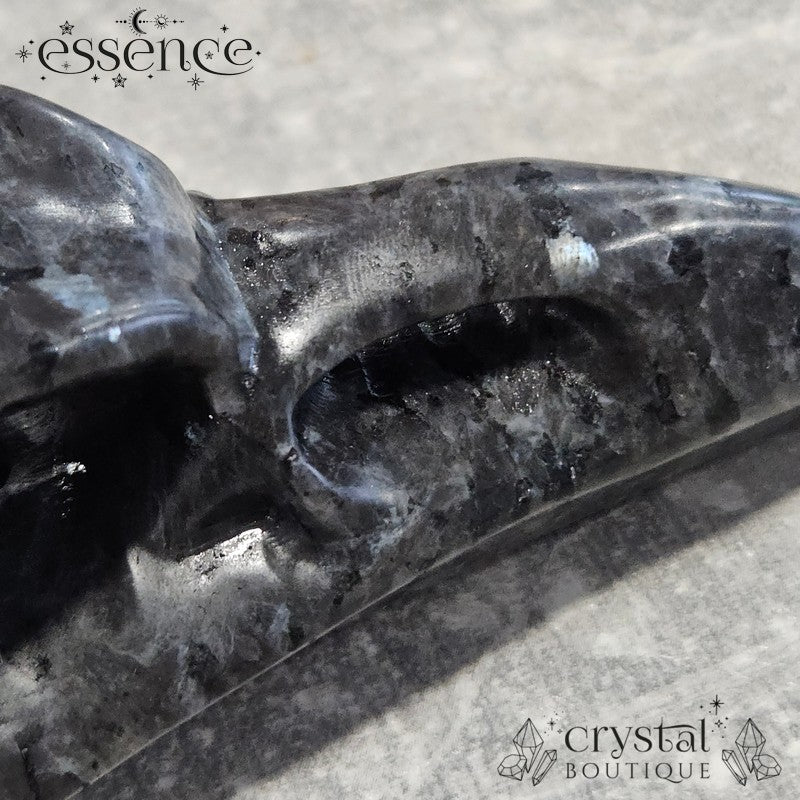 Larvikite Raven Skull