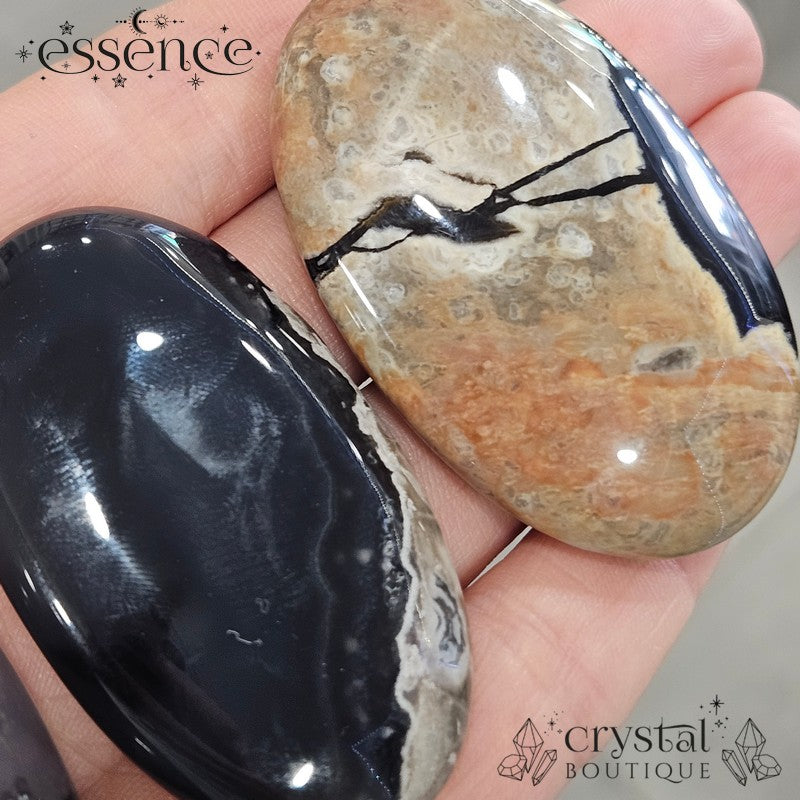 Volcano Agate Palm Stone