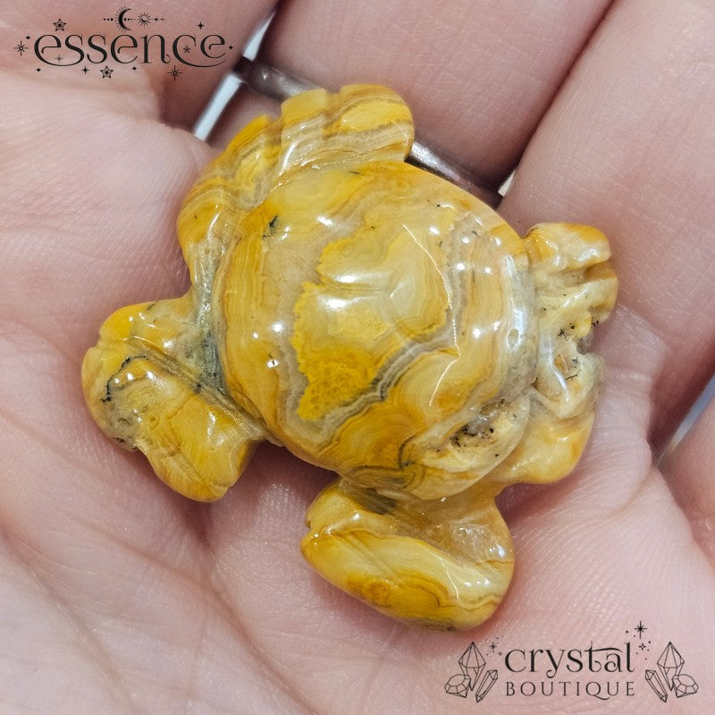 Mystery Crystal Crab