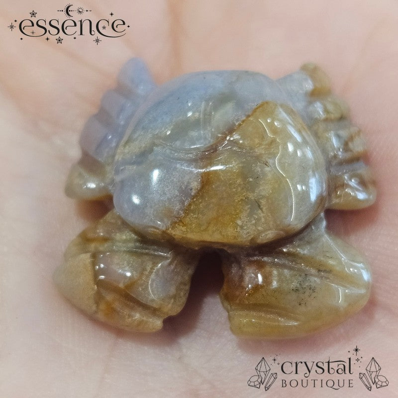 Mystery Crystal Crab