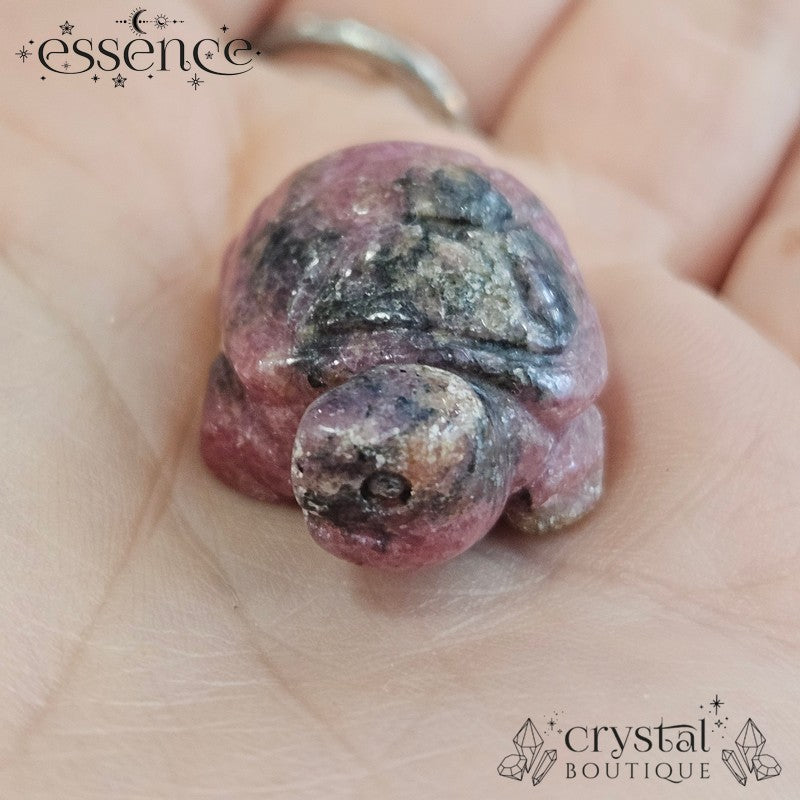 Mystery Crystal Turtle