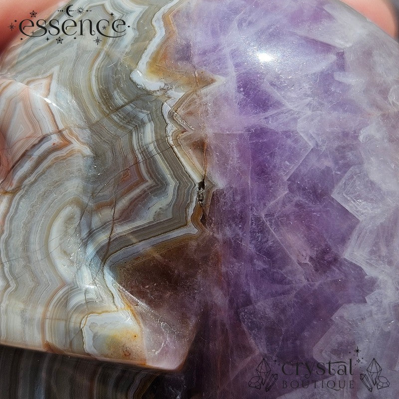 Amethyst & Crazy Lace Agate Skull (442g)