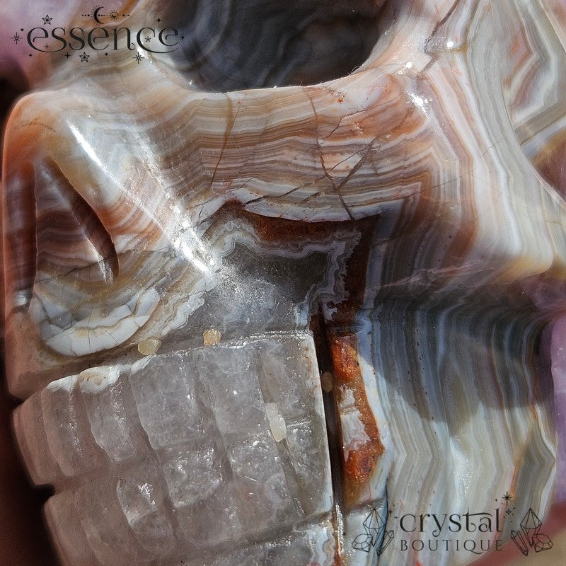 Amethyst & Crazy Lace Agate Skull (442g)