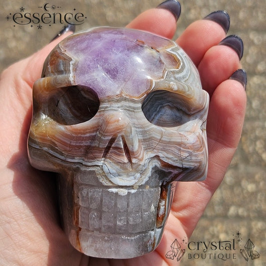 Amethyst & Crazy Lace Agate Skull (442g)