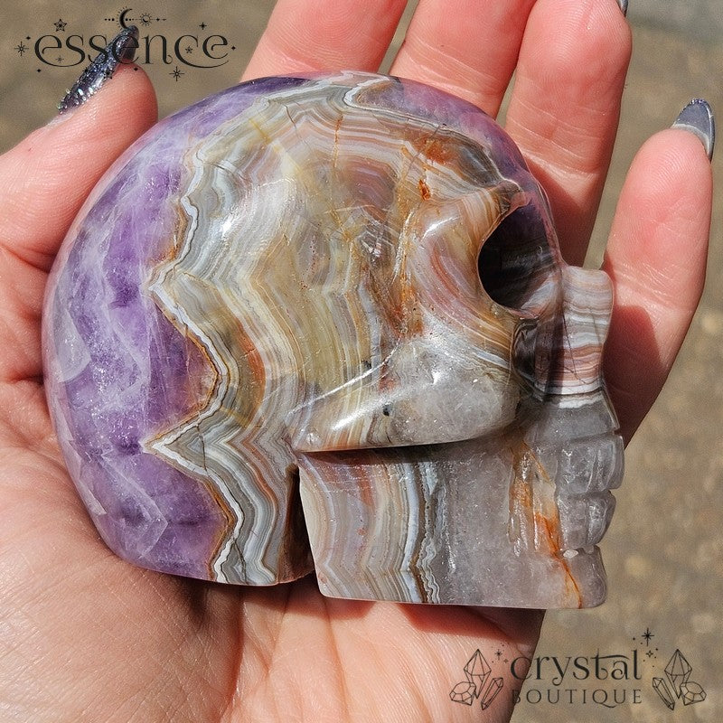 Amethyst & Crazy Lace Agate Skull (442g)