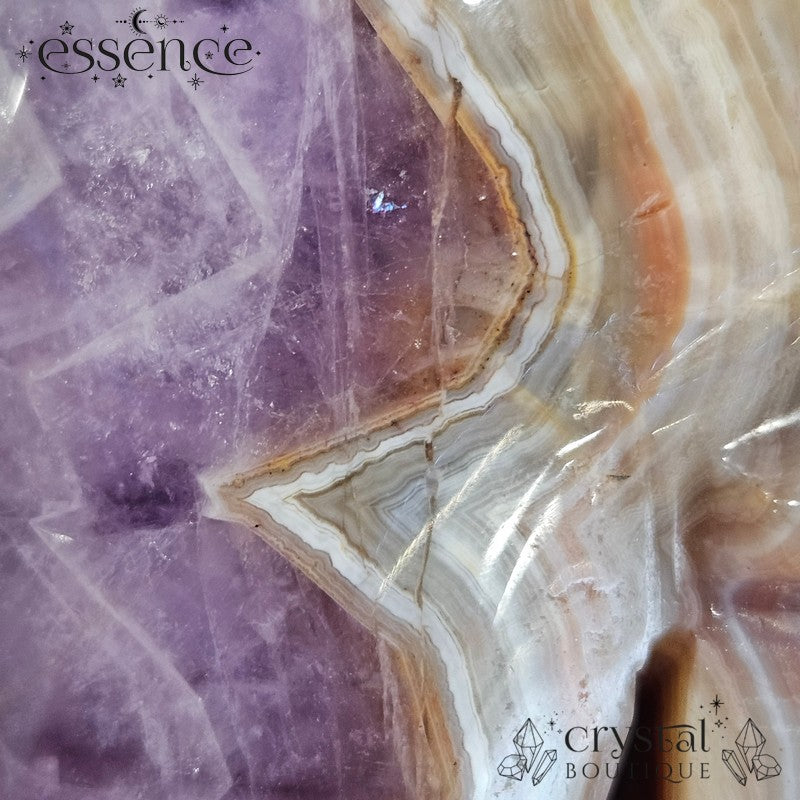 Amethyst & Crazy Lace Agate Skull (442g)