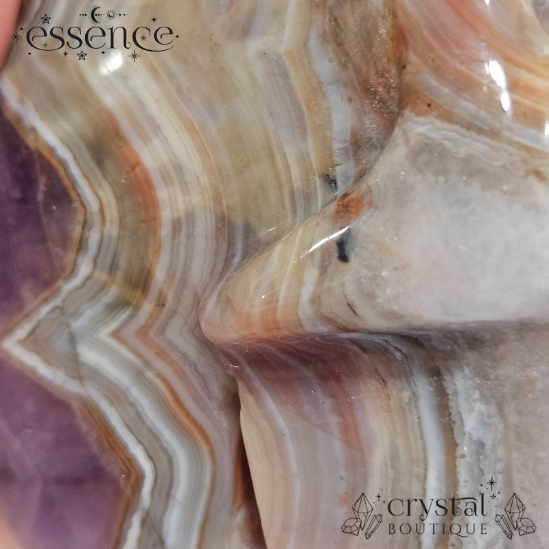 Amethyst & Crazy Lace Agate Skull (442g)