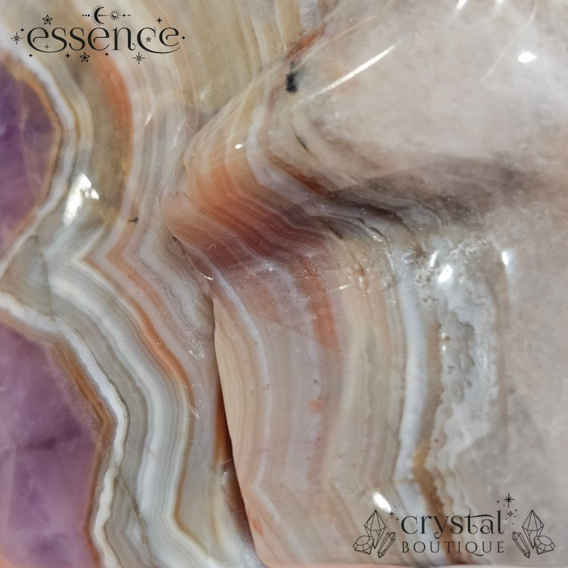 Amethyst & Crazy Lace Agate Skull (442g)