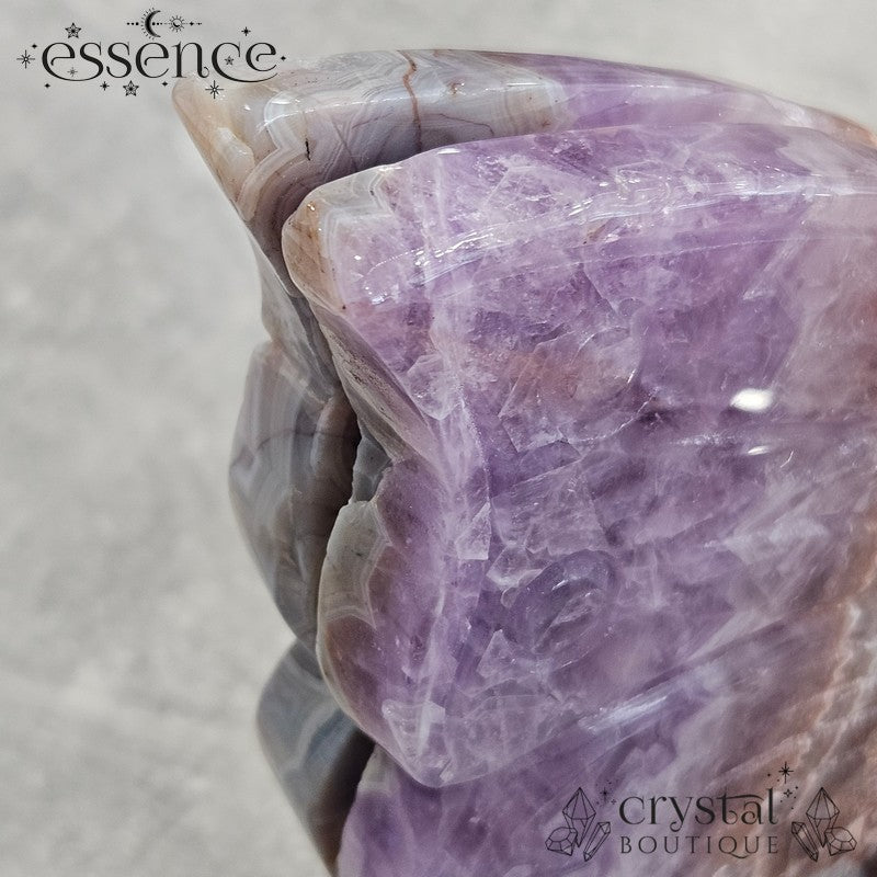 Amethyst & Crazy Lace Agate Fairy | 592g