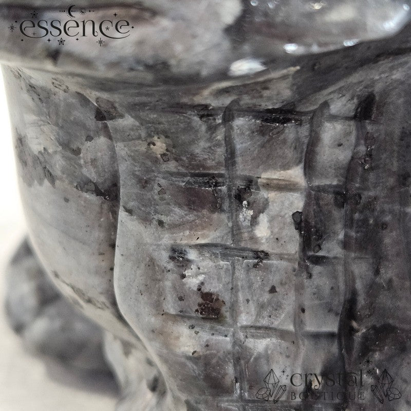 Larvikite Toothless Carving 696gm