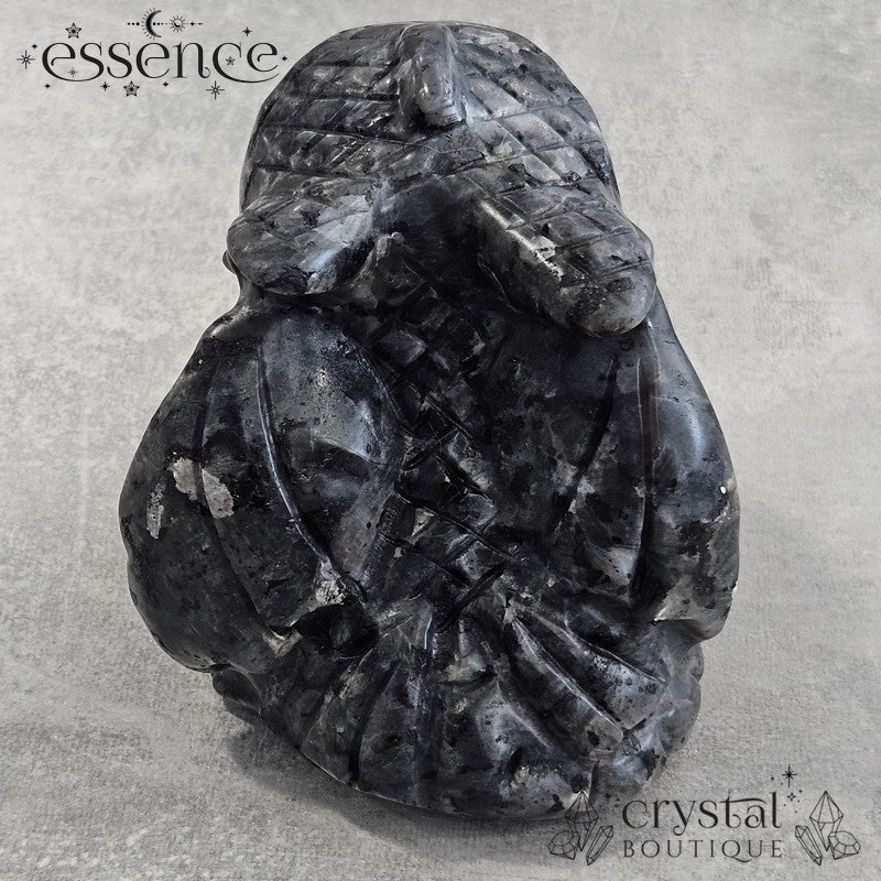 Larvikite Toothless Carving 696gm