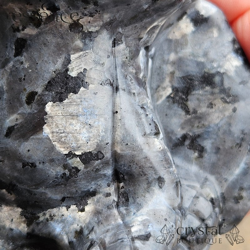 Larvikite Toothless Carving 696gm