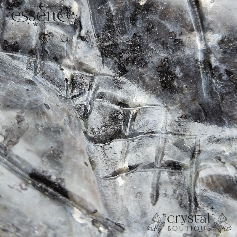 Larvikite Toothless Carving 696gm