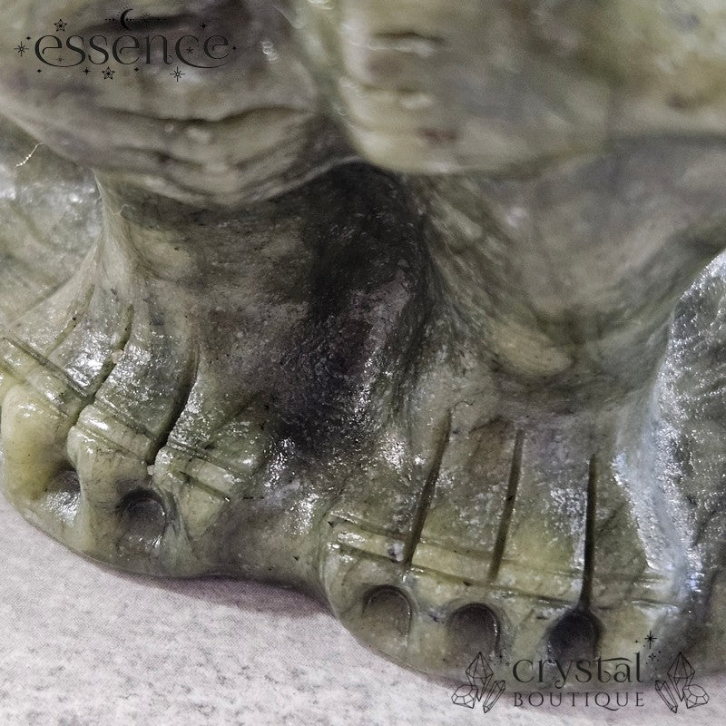 Serpentine Gargoyle β 1039g