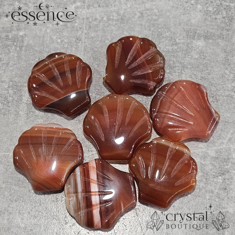 Carnelian Shell