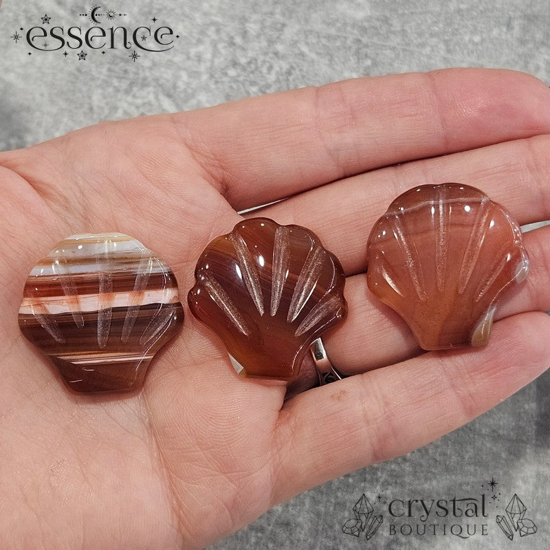 Carnelian Shell