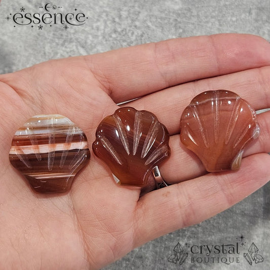 Carnelian Shell