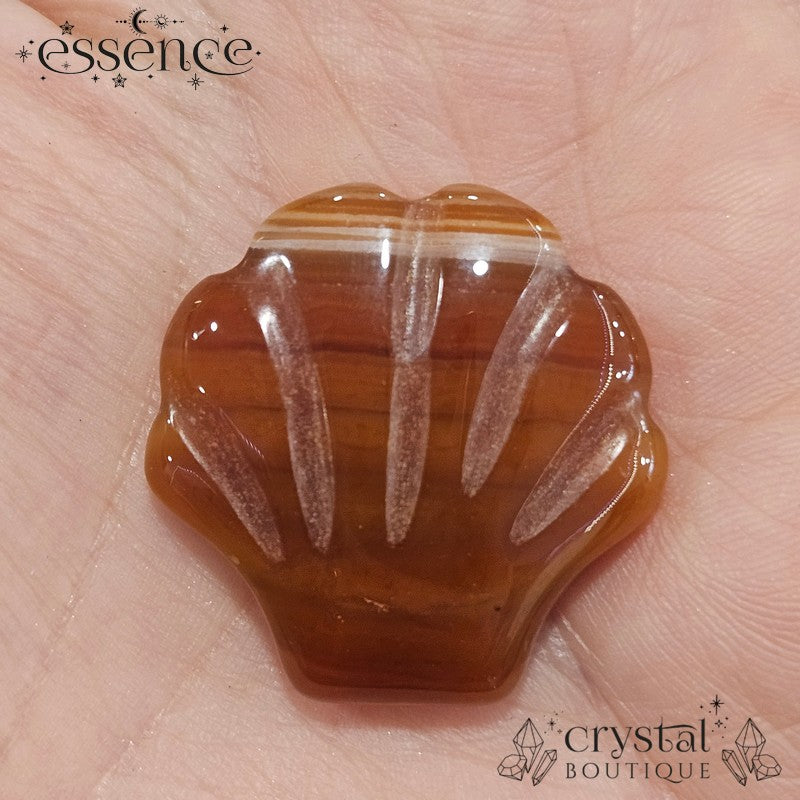 Carnelian Shell