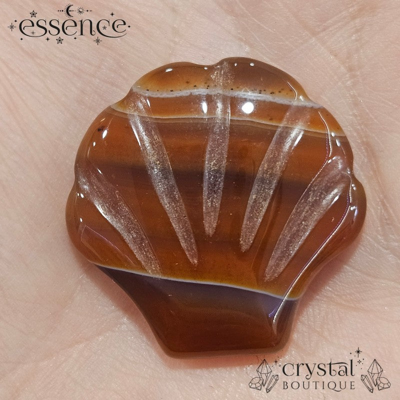 Carnelian Shell