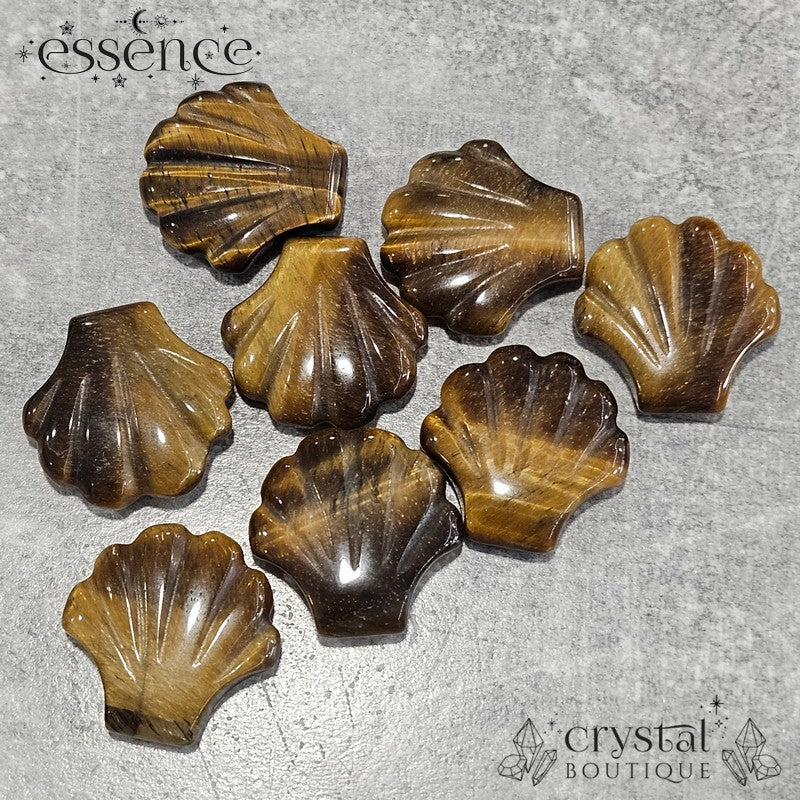 Tigers Eye Shell