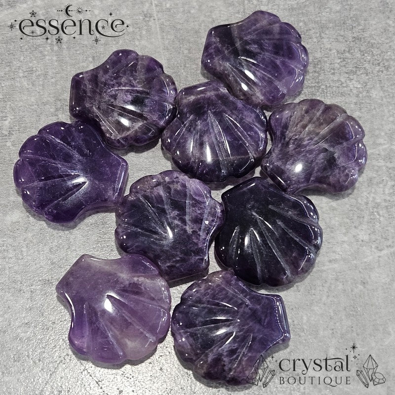 Amethyst Shell