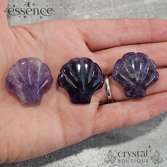 Amethyst Shell