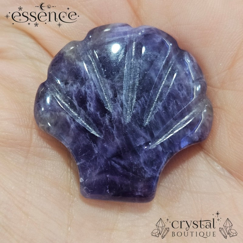 Amethyst Shell