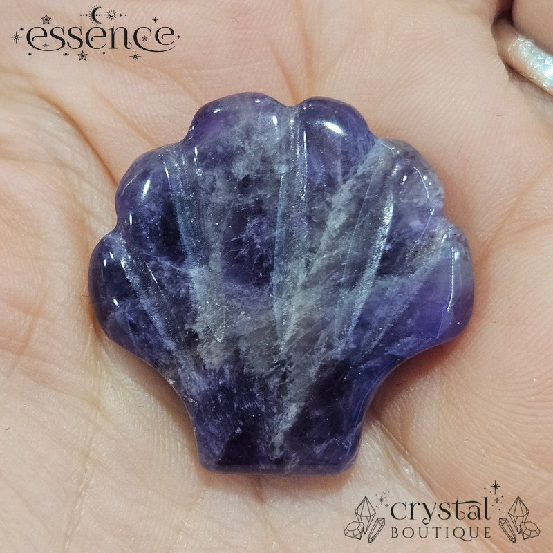 Amethyst Shell