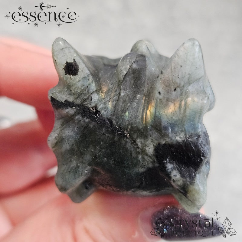 Labradorite with Black Tourmaline Dragon Head