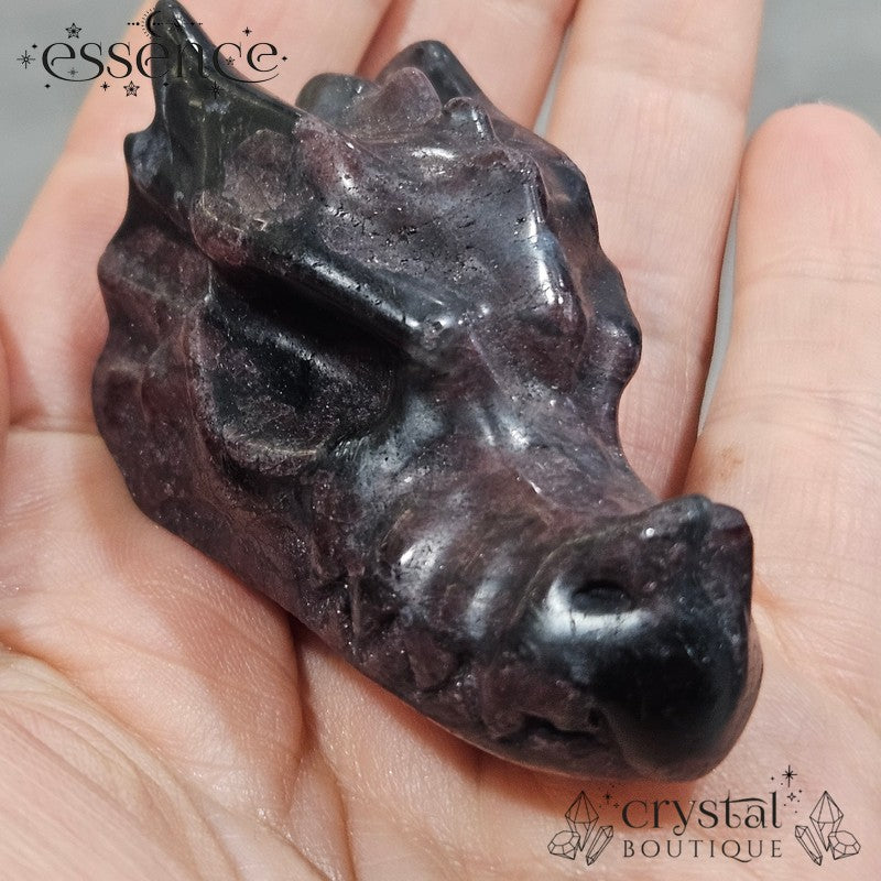 Garnet in Astrophyllite Dragon Head