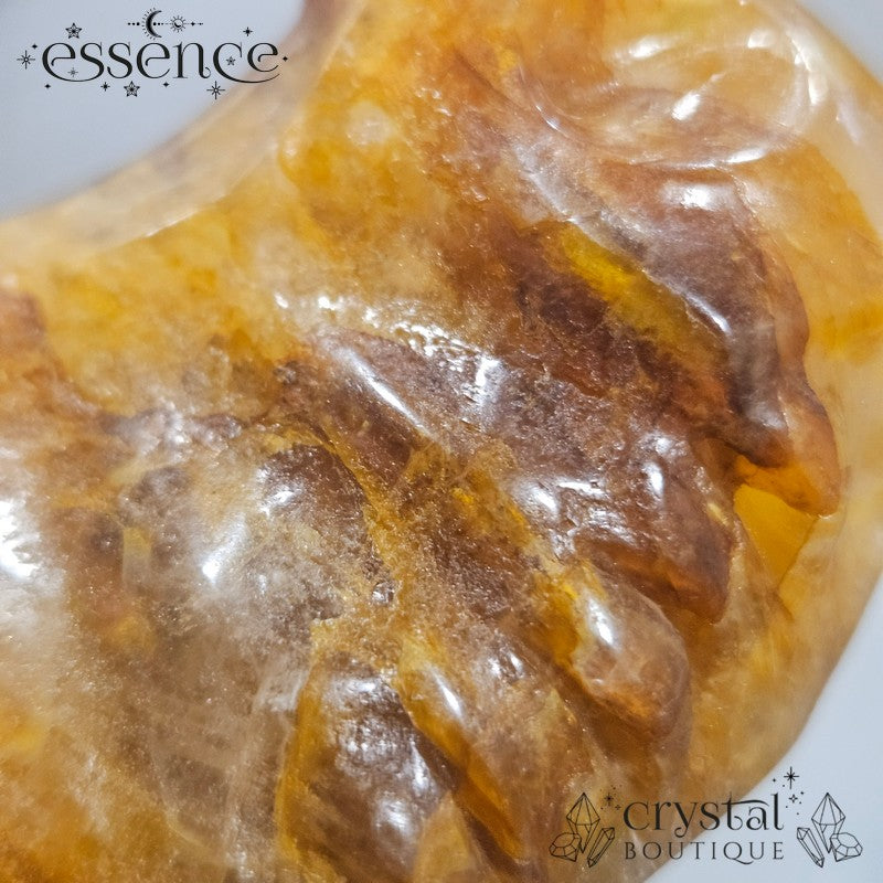 Large Golden Healer Quartz Dragon Head (631g)