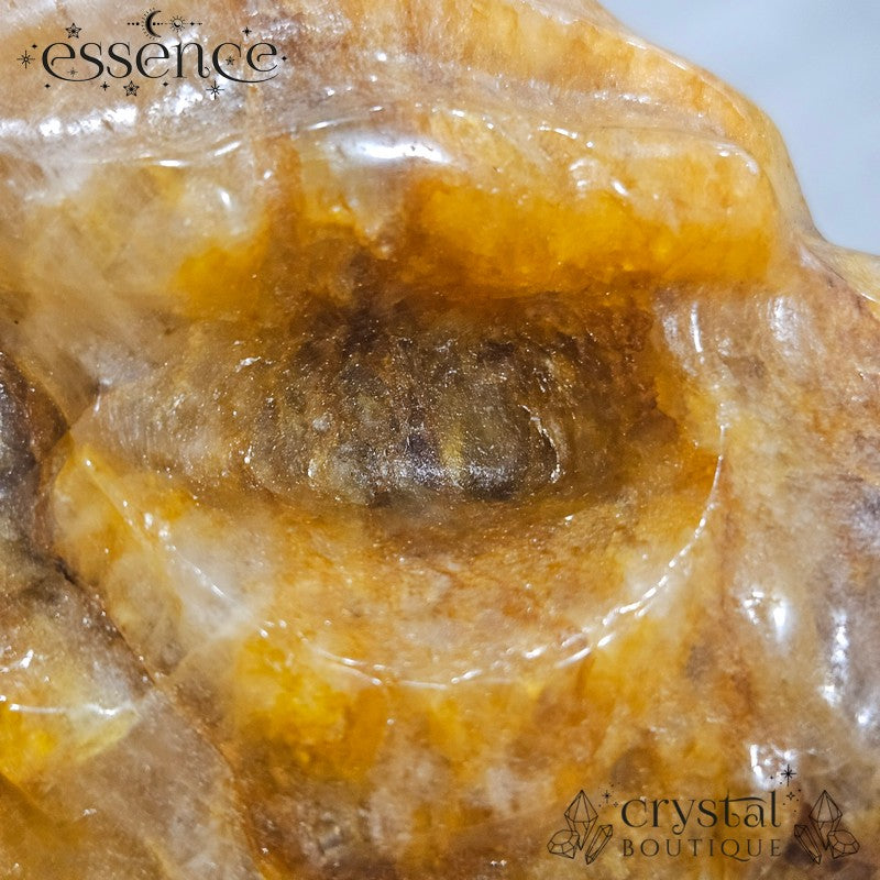 Large Golden Healer Quartz Dragon Head (631g)